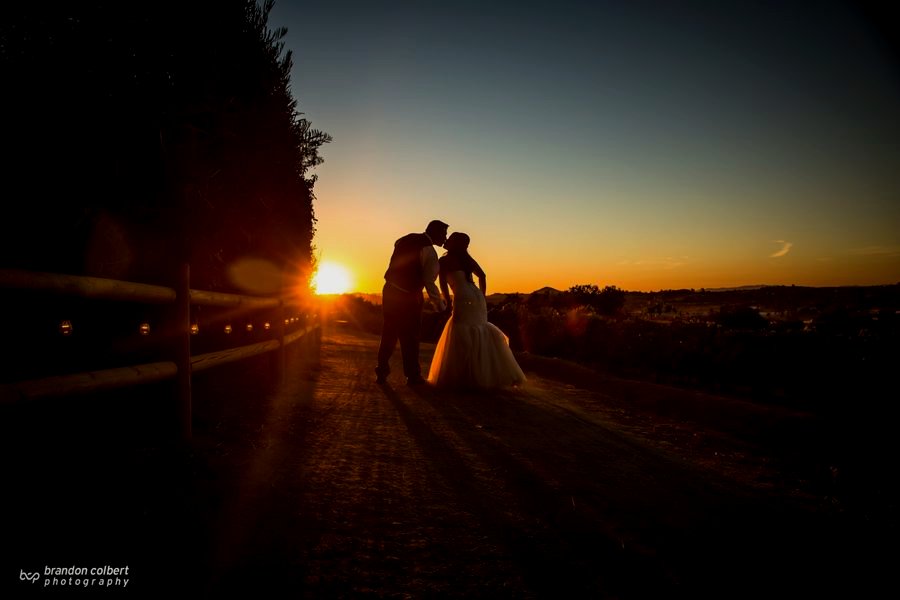How to Plan a Vineyard Wedding in North County San Diego