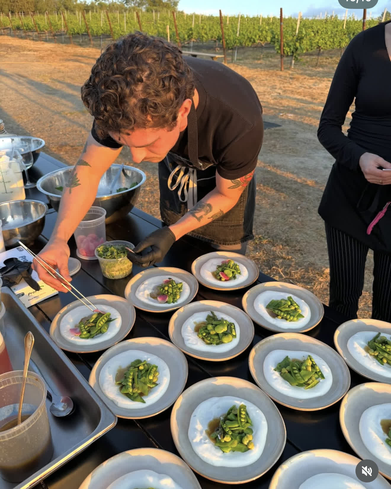Dean plating a row of dishes in the vineyard