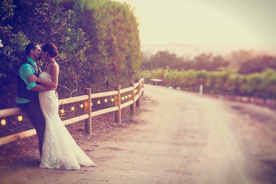 A bride on the vineyard road