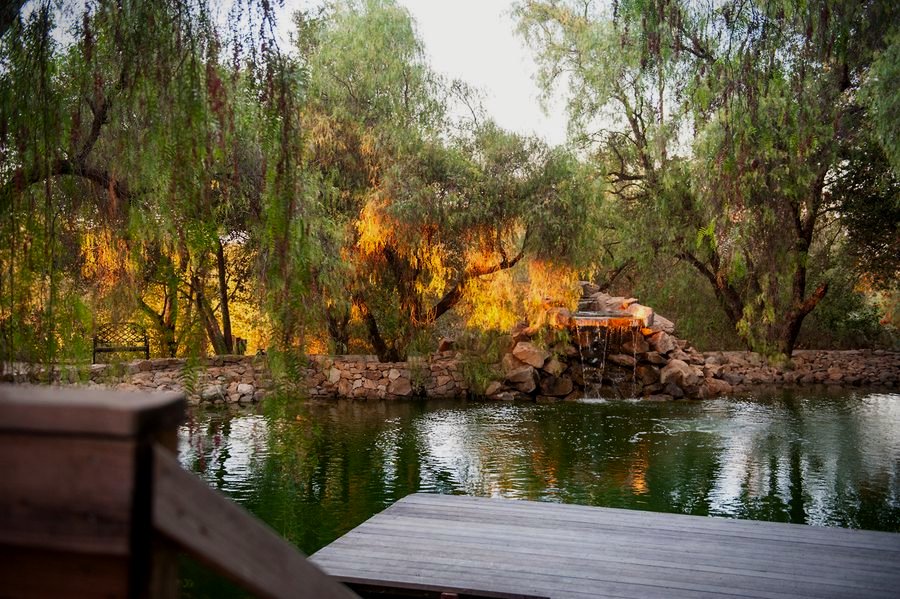 The vineyard pond and dock