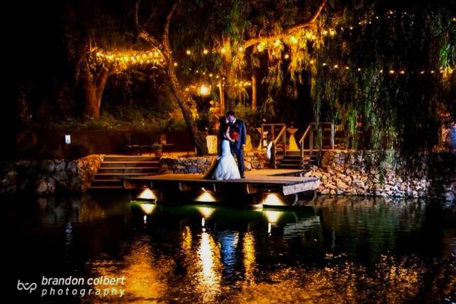 The pond at dusk under string lights