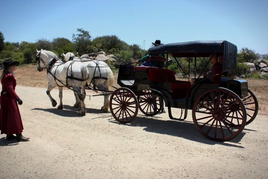 A horse-drawn carriage on the grounds