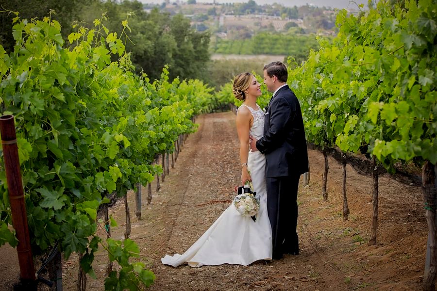 A couple at their Hill Top vineyard wedding