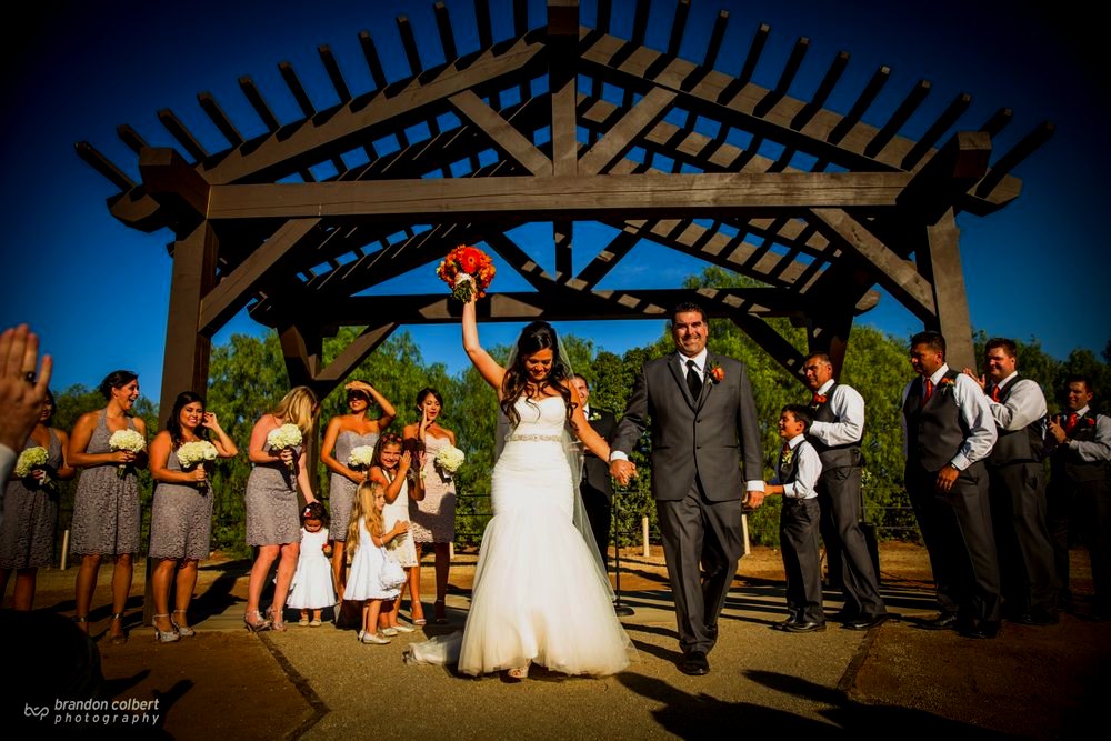 A vineyard wedding ceremony at Hill Top Winery