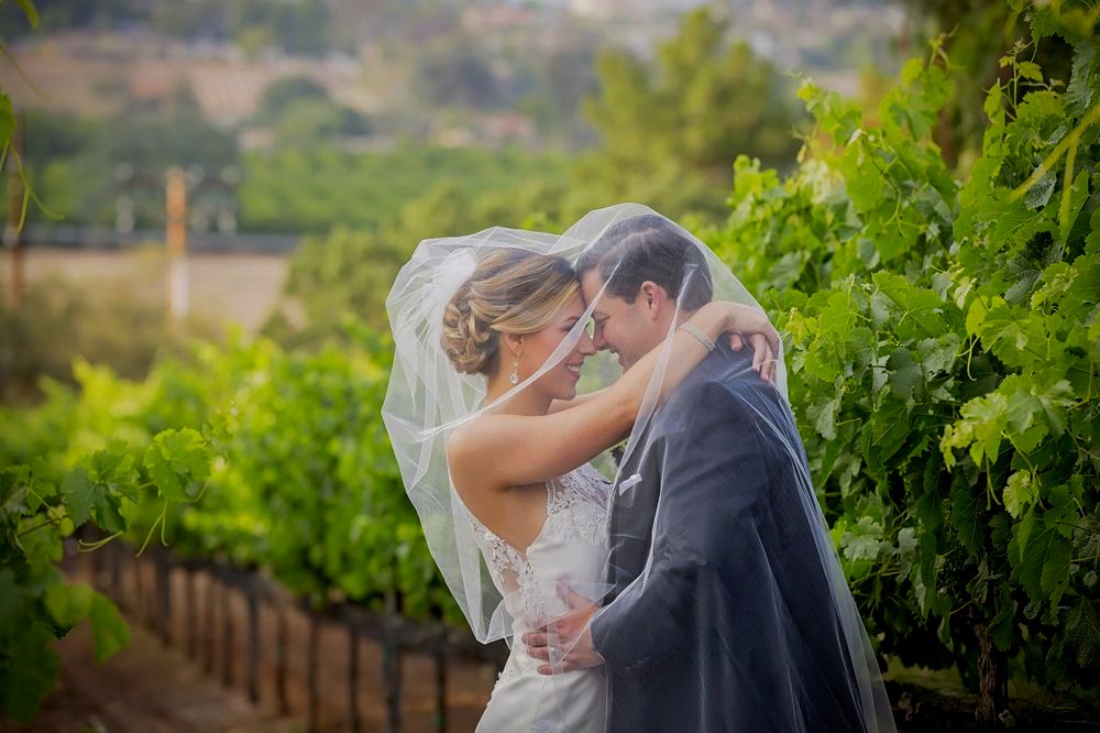 A couple at their Hill Top Winery wedding in the vineyard